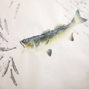 omade francese elena di capita gyotaku a 002 EDC